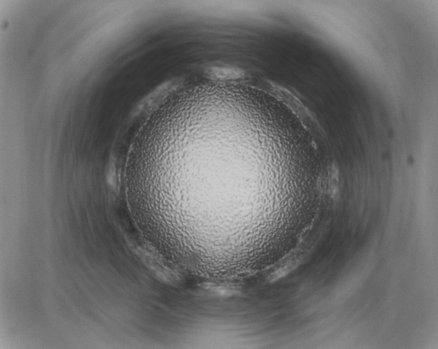 X0000081320763200701251808