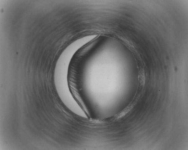 X0000081320766200701251808