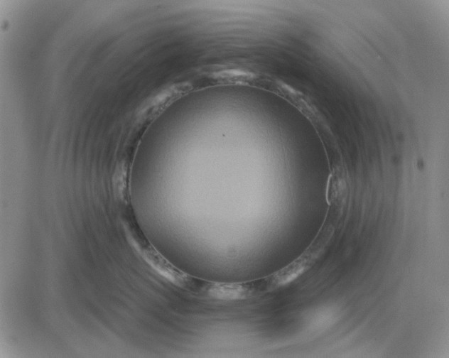 X0000081320767200701251808