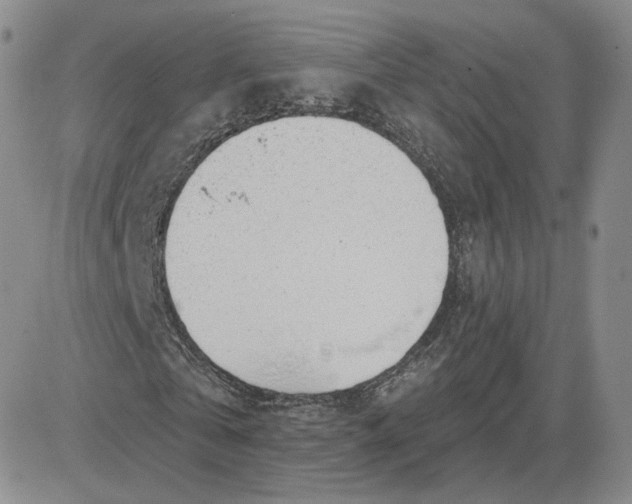 X0000081320769200701251807