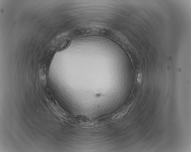 X0000081320771200701251807