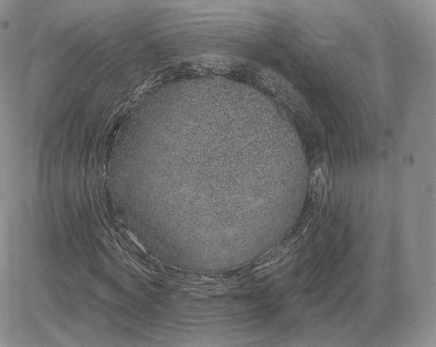 X0000081320772200701251807