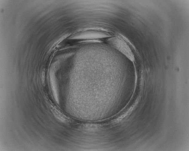 X0000081320777200701251807