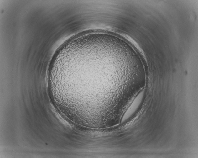 X0000081320791200701251807