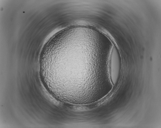 X0000081320795200701251807