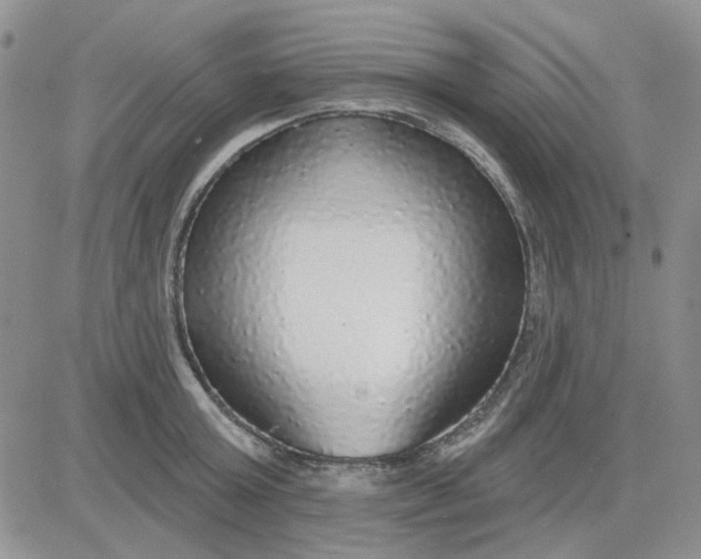 X0000081320803200701251807