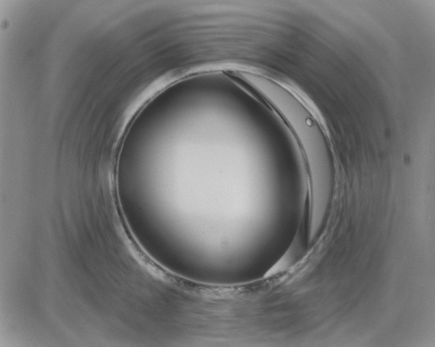 X0000081320813200701251806