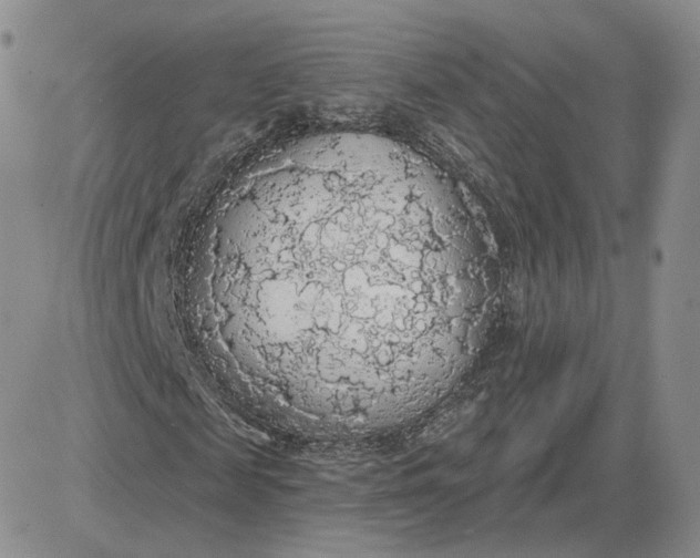 X0000081320817200701251806