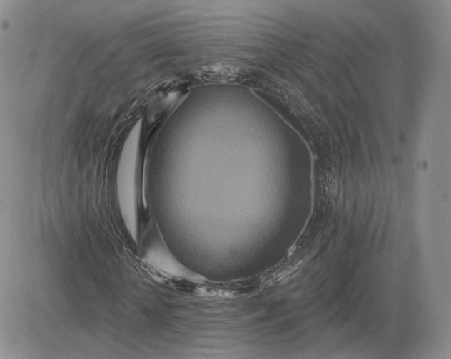 X0000081320818200701251806