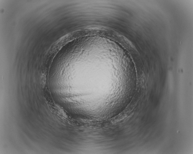 X0000081320821200701251806
