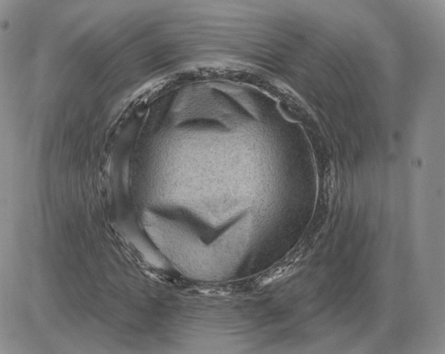 X0000081320822200701251806