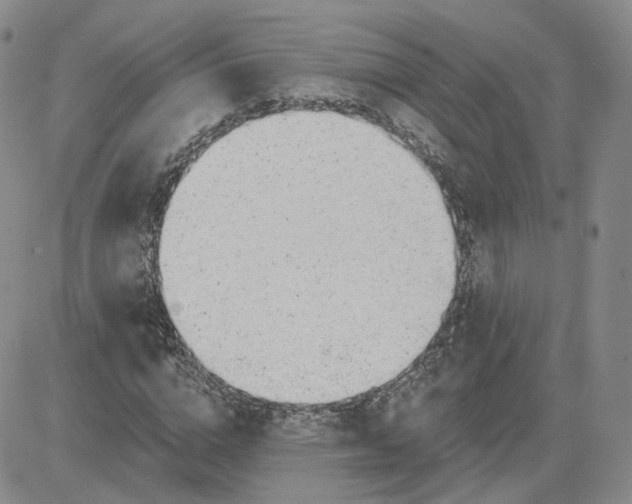 X0000081320824200701251806