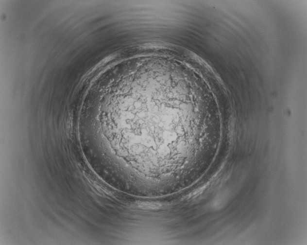 X0000081320825200701251806