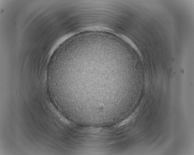 X0000081320831200701251806