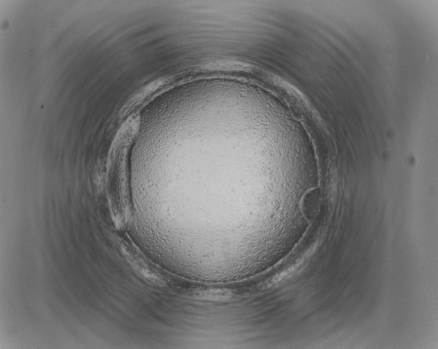 X0000081320833200701251806