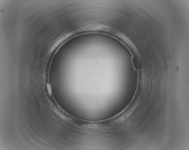 X0000081320834200701251806