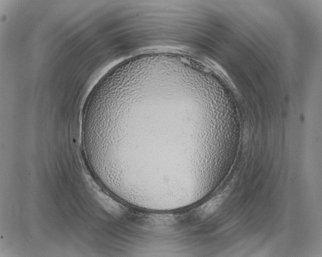 X0000081320844200701251806