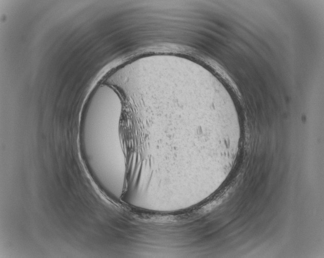 X0000081320845200701251806