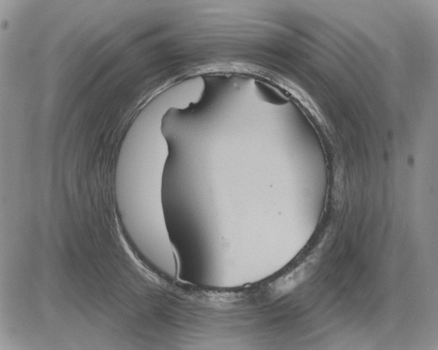 X0000081320849200701251806