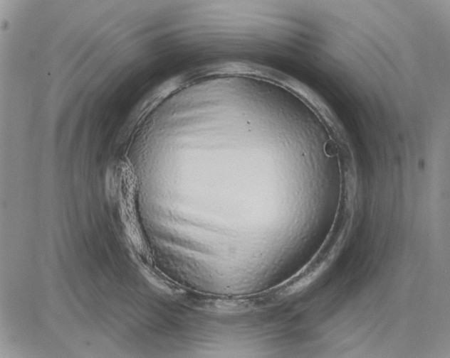 X0000081320857200701251806