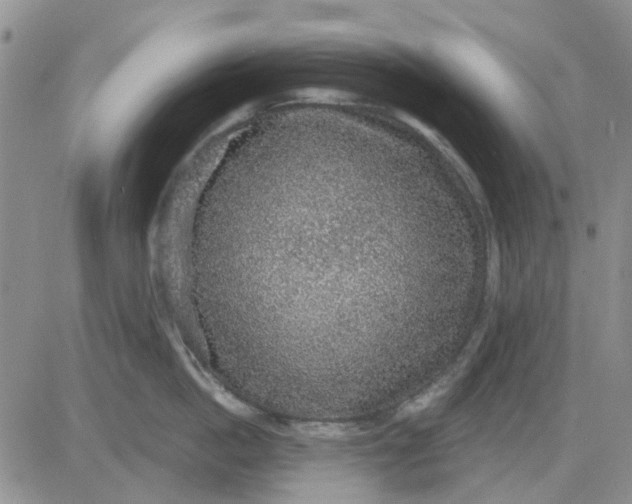X0000081320862200701251806
