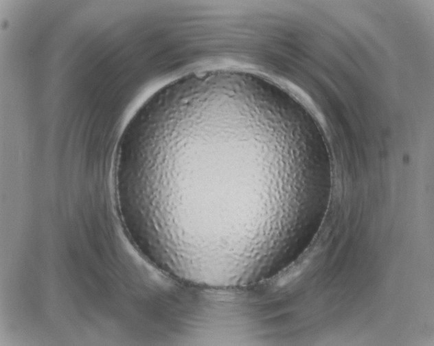 X0000081320863200701251806