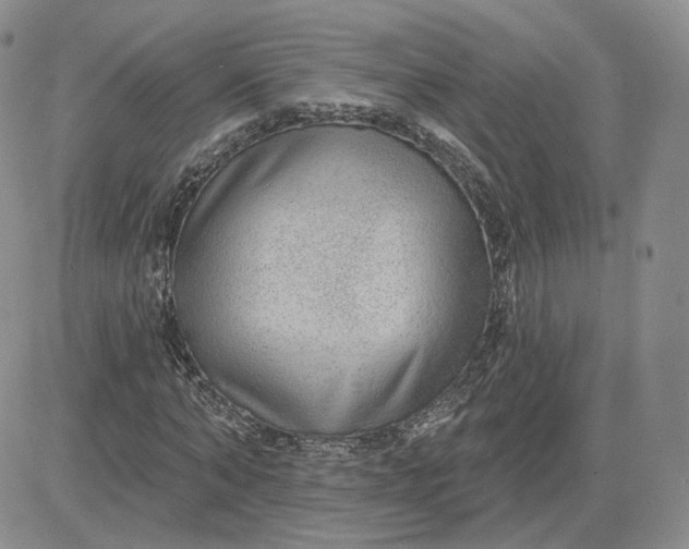 X0000081320870200701251805