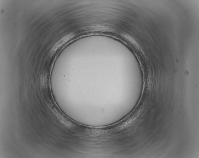 X0000081320873200701251805