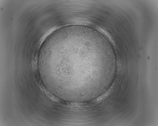 X0000081320875200701251805
