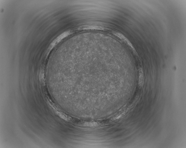 X0000081320882200701251805