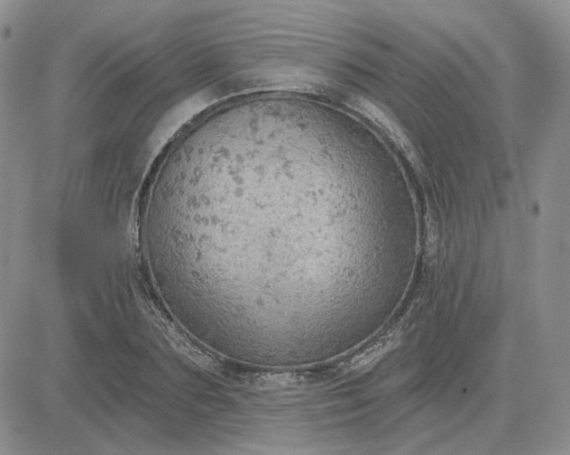 X0000081320883200701251805