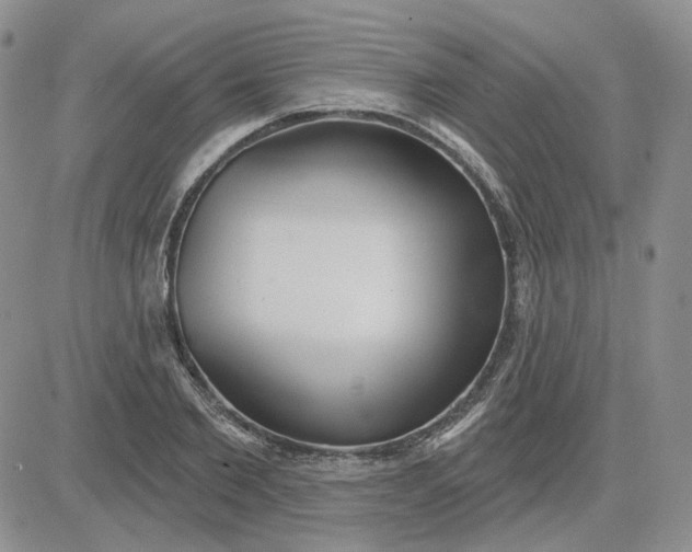 X0000081320885200701251805