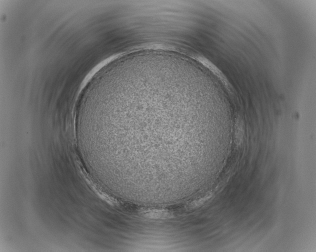X0000081320886200701251805