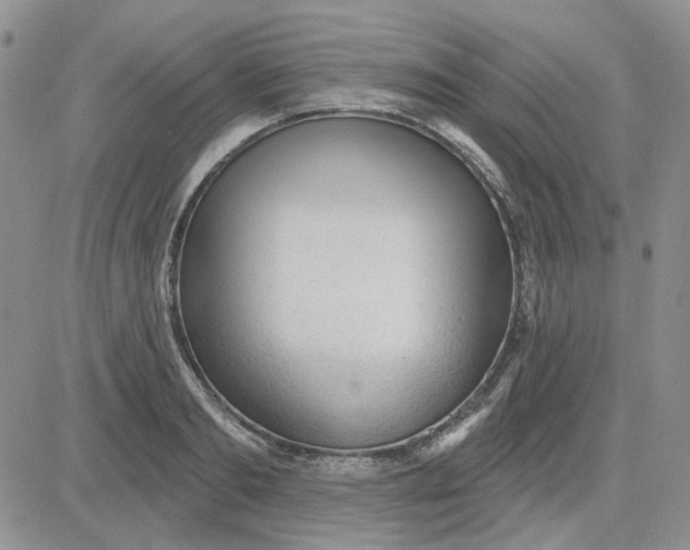 X0000081320893200701251805