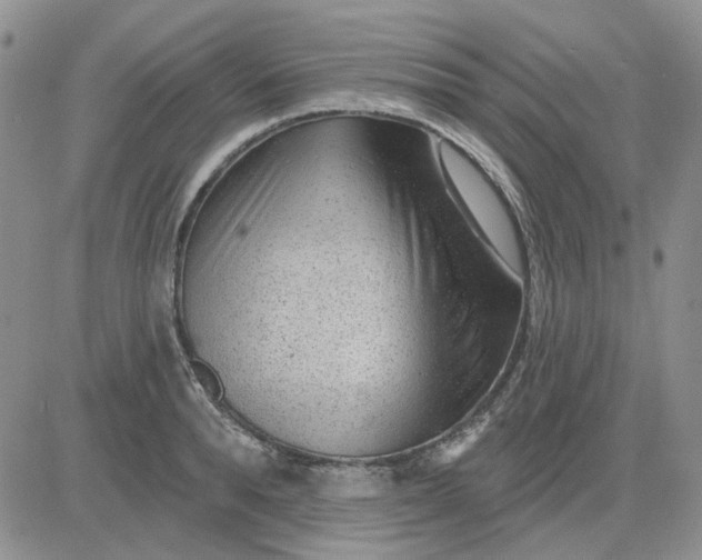 X0000081320896200701251805