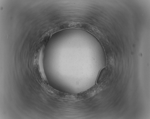 X0000081320914200701251804