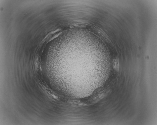 X0000081320915200701251804