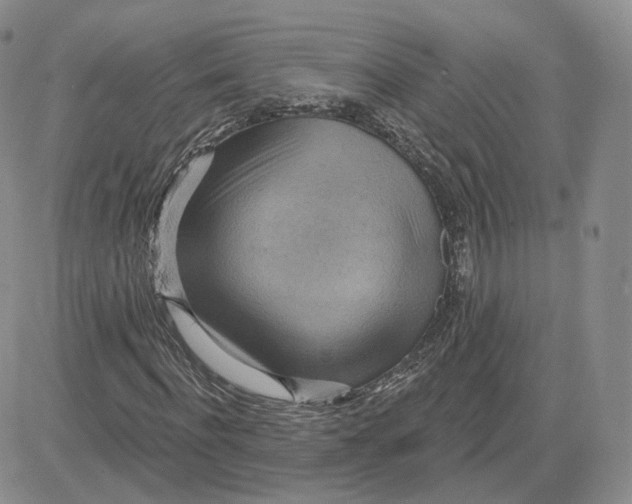 X0000081320916200701251804
