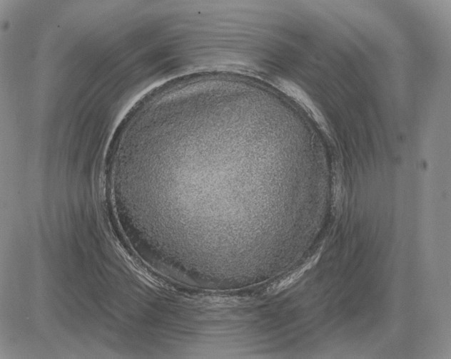 X0000081320924200701251804