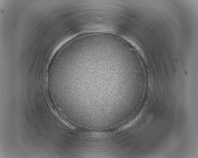 X0000081320933200701251804