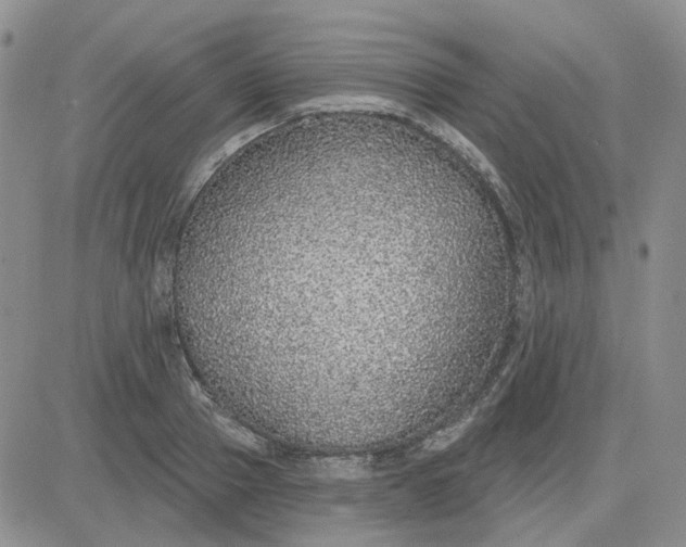 X0000081320937200701251804