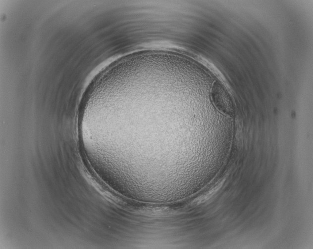 X0000081320939200701251804