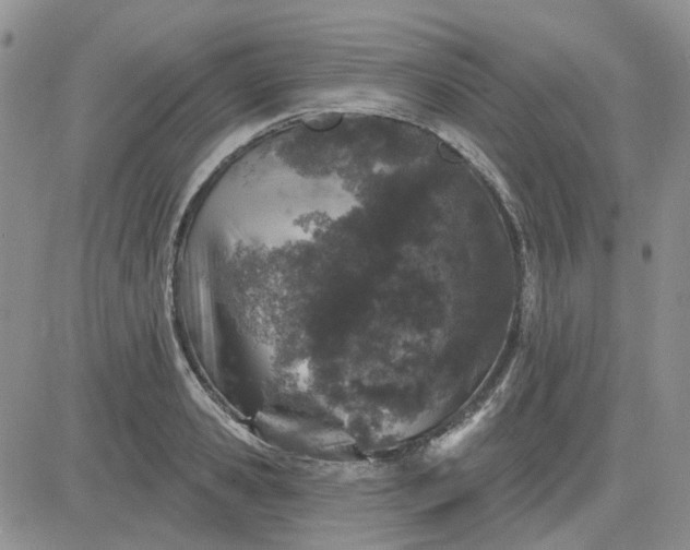 X0000081320941200701251804