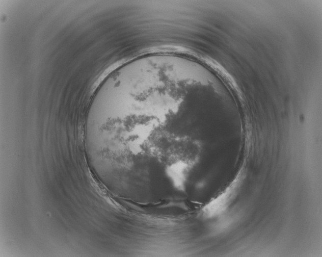 X0000081320945200701251804
