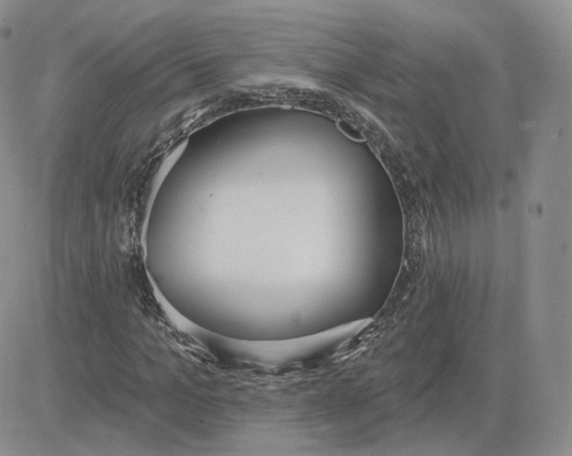 X0000081320965200701251804