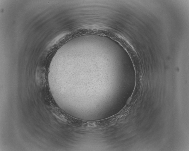 X0000081320968200701251804