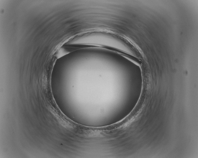 X0000081320969200701251804