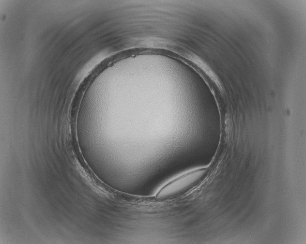 X0000081320972200701251804