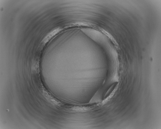 X0000081320977200701251804