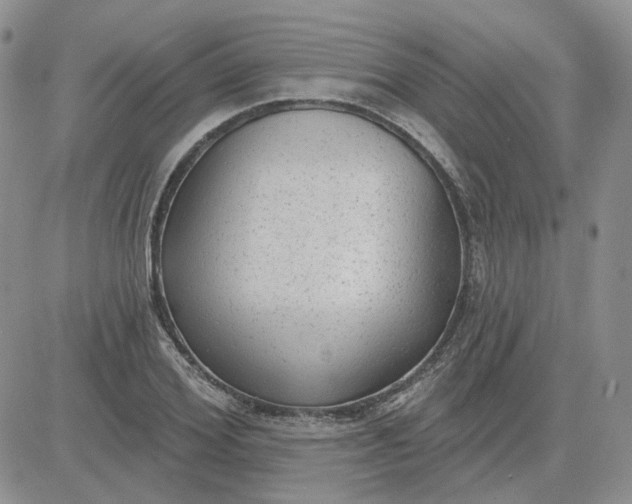 X0000081320980200701251804